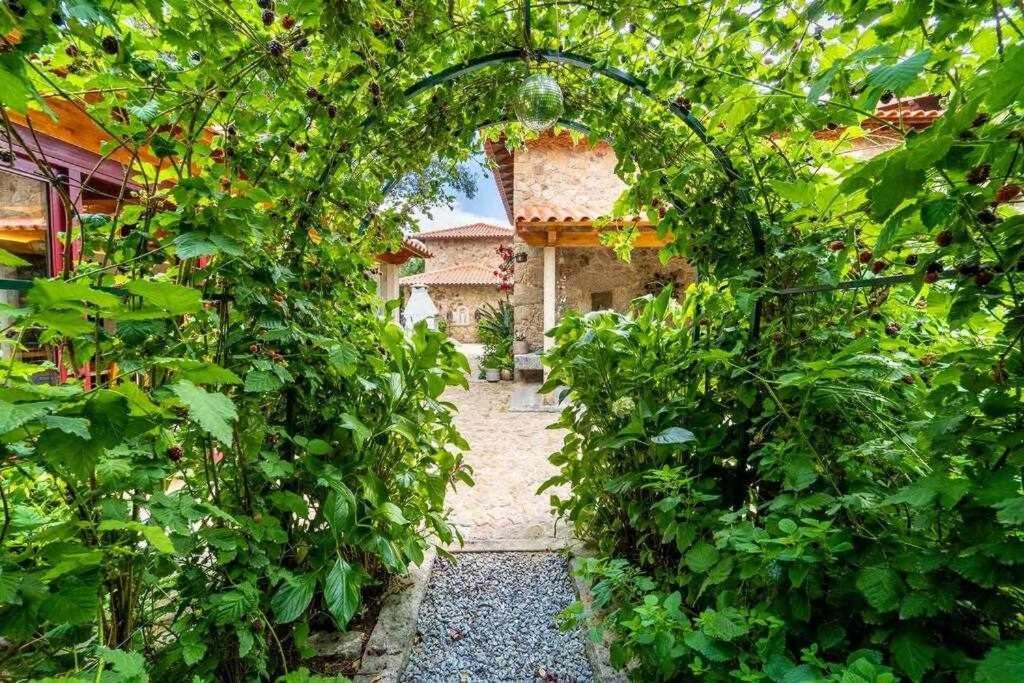Casas Casal Do Carvalhal - Agroturismo Amares Dış mekan fotoğraf